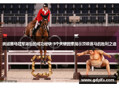 奥运赛马冠军背后的成功秘诀 5个关键因素揭示顶级赛马的胜利之道