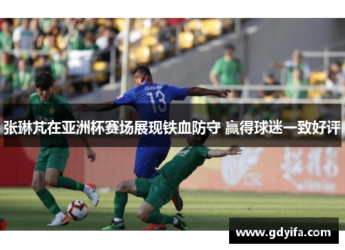 张琳芃在亚洲杯赛场展现铁血防守 赢得球迷一致好评 张琳芃在亚洲杯赛场展现铁血防守 赢得球迷一致好评