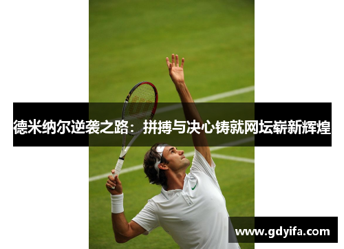 德米纳尔逆袭之路：拼搏与决心铸就网坛崭新辉煌